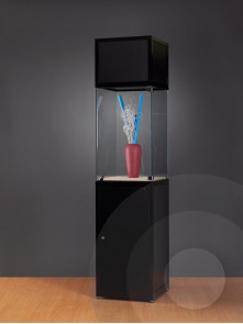 Museum Display Case With Header - Tall